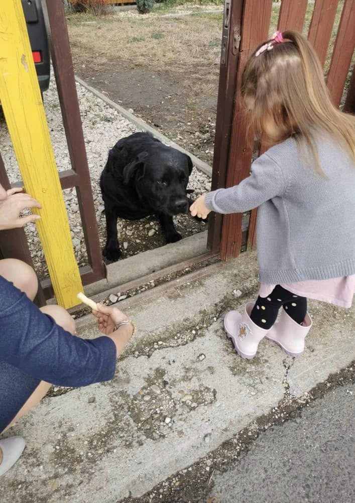 Micimackó Bababolt pillanat – kép 14