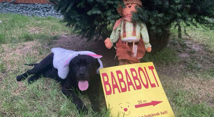 Micimackó Bababolt pillanat – kép 8